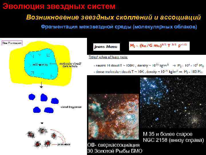 Эволюция звездных систем Возникновение звездных скоплений и ассоциаций Фрагментация межзвездной среды (молекулярных облаков) ОВ-