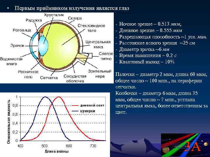  • Первым приёмником излучения является глаз - Ночное зрение – 0. 513 мкм,