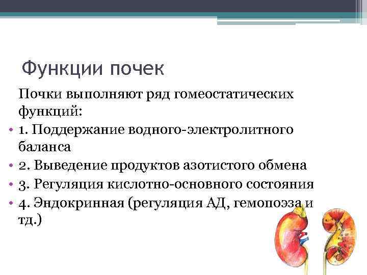 Функции почек • • Почки выполняют ряд гомеостатических функций: 1. Поддержание водного-электролитного баланса 2.