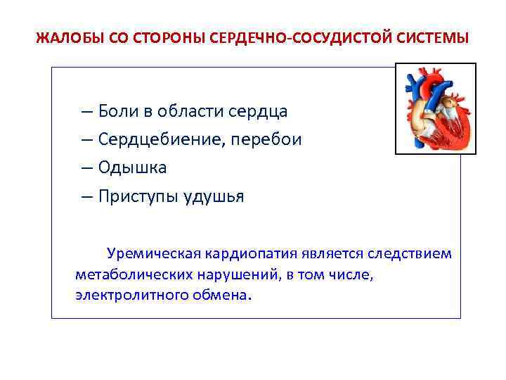 ЖАЛОБЫ СО СТОРОНЫ СЕРДЕЧНО-СОСУДИСТОЙ СИСТЕМЫ – Боли в области сердца – Сердцебиение, перебои –