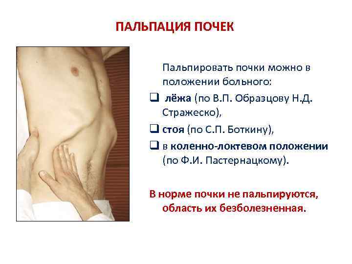 ПАЛЬПАЦИЯ ПОЧЕК Пальпировать почки можно в положении больного: q лёжа (по В. П. Образцову
