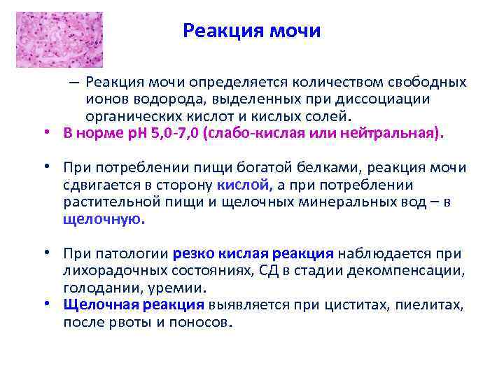 Реакция мочи – Реакция мочи определяется количеством свободных ионов водорода, выделенных при диссоциации органических
