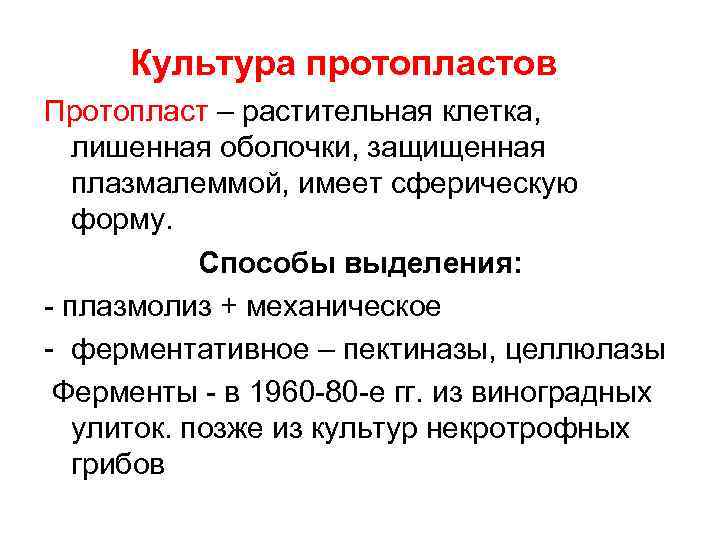 Культура протопластов Протопласт – растительная клетка, лишенная оболочки, защищенная плазмалеммой, имеет сферическую форму. Способы