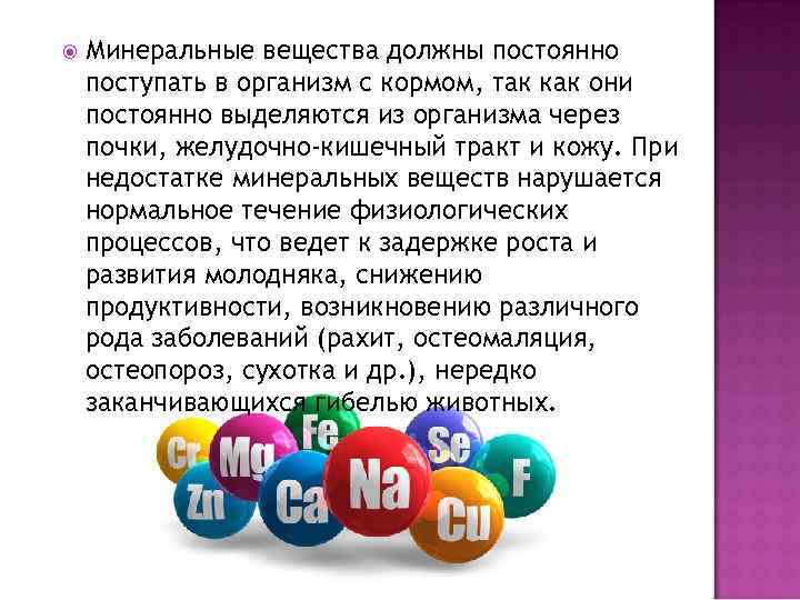  Минеральные вещества должны постоянно поступать в организм с кормом, так как они постоянно