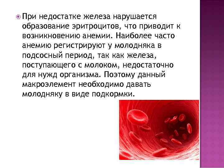 При недостатке железа нарушается образование эритроцитов, что приводит к возникновению анемии. Наиболее часто