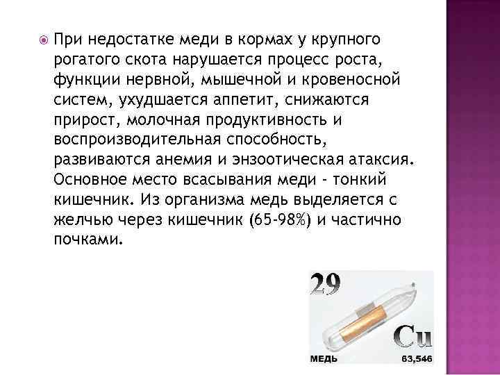  При недостатке меди в кормах у крупного рогатого скота нарушается процесс роста, функции