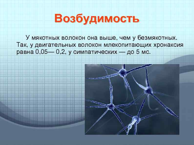 Возбудимость У мякотных волокон она выше, чем у безмякотных. Так, у двигательных волокон млекопитающих