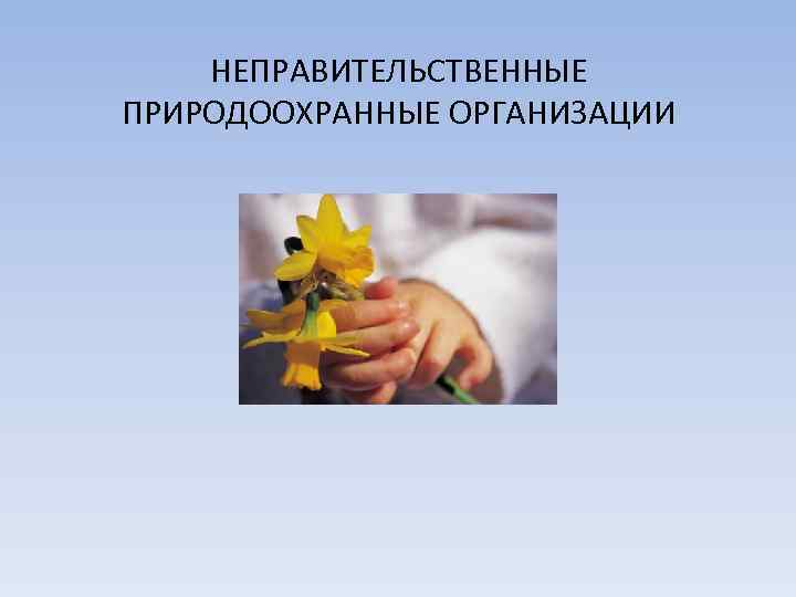НЕПРАВИТЕЛЬСТВЕННЫЕ ПРИРОДООХРАННЫЕ ОРГАНИЗАЦИИ 