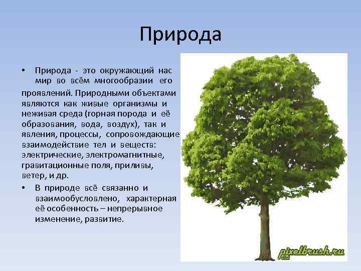 Природа - это окружающий нас мир во всём многообразии его проявлений. Природными объектами являются