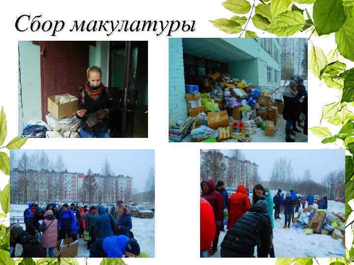 Сбор макулатуры 