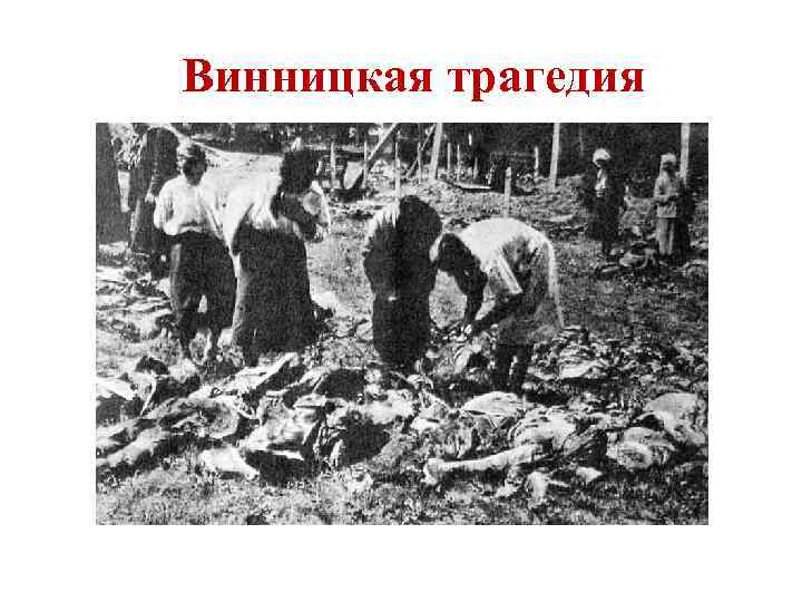 Винницкая трагедия 