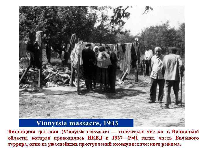 Винницкая трагедия (Vinnytsia massacre) — этническая чистка в Винницкой области, которая проводились НКВД в