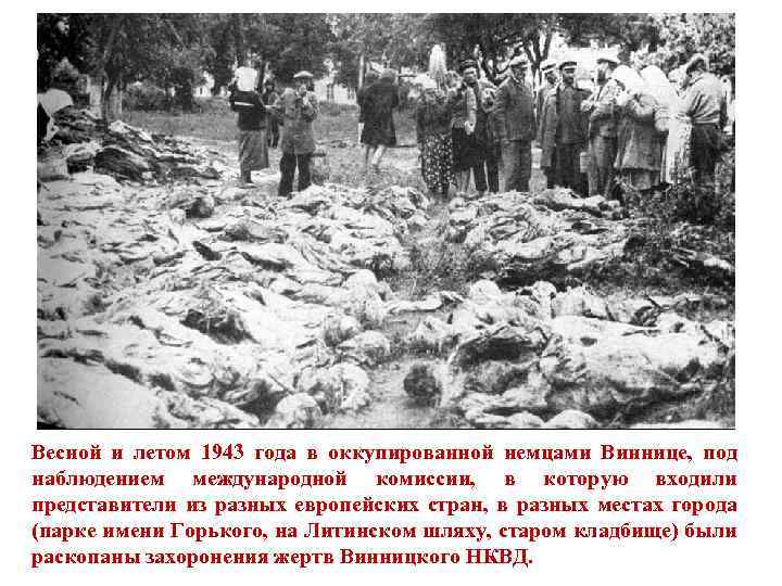 Весной и летом 1943 года в оккупированной немцами Виннице, под наблюдением международной комиссии, в