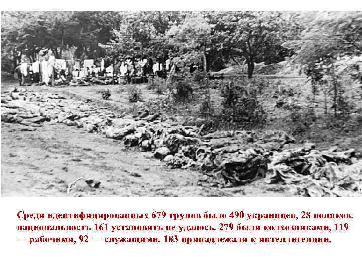 Среди идентифицированных 679 трупов было 490 украинцев, 28 поляков, национальность 161 установить не удалось.