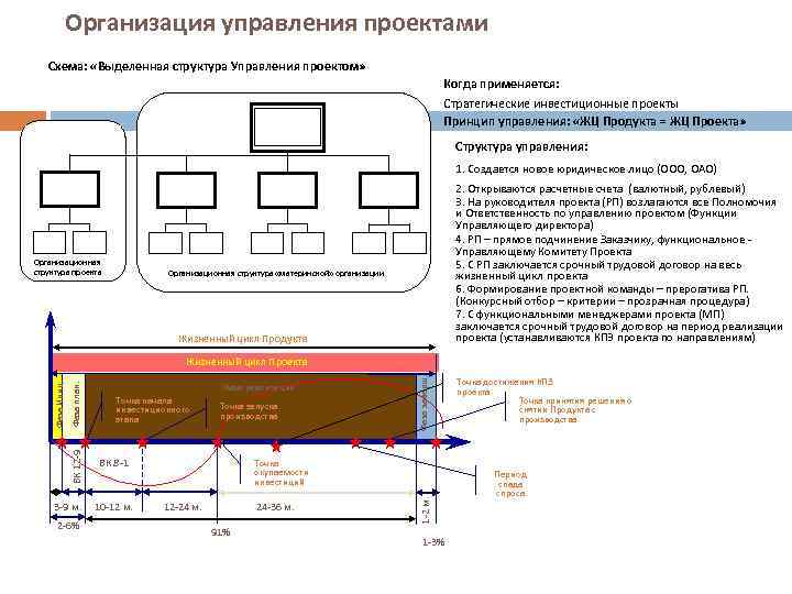 Выделенная структура управления проектом