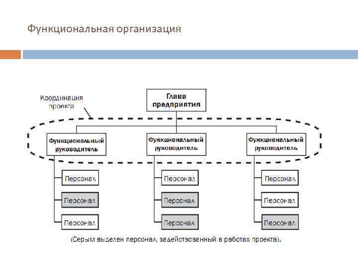 Функциональная организация 