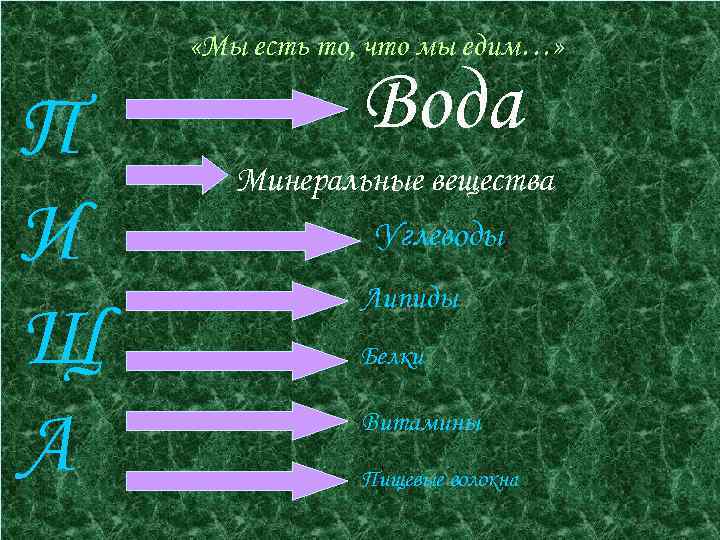  «Мы есть то, что мы едим…» П И Щ А Вода Минеральные вещества