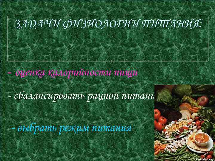 Презентация физиология питания 6 класс технология презентация