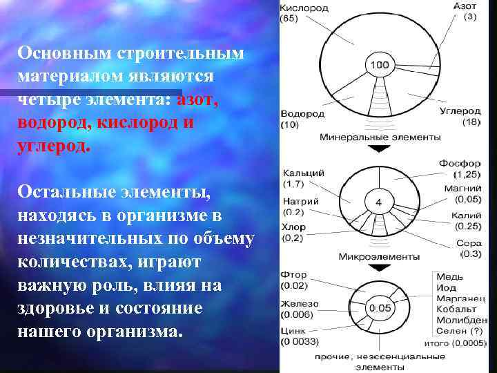 Основным строительным материалом являются четыре элемента: азот, водород, кислород и углерод. Остальные элементы, находясь