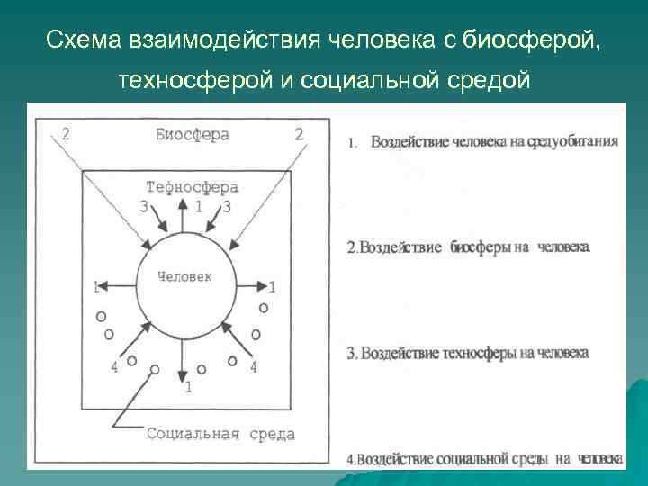 Схема взаимодействия человека с биосферой, техносферой и социальной средой 