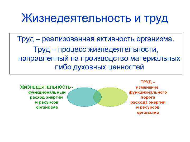 Жизнедеятельность и труд Труд – реализованная активность организма. Труд – процесс жизнедеятельности, направленный на