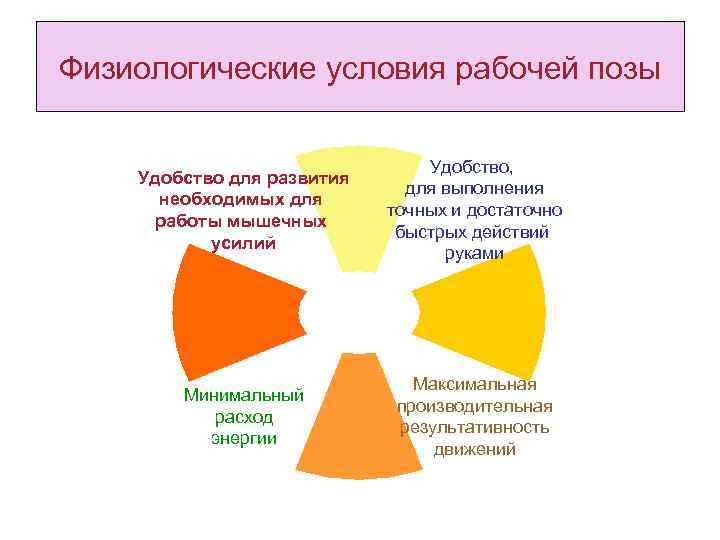 Физиологические условия рабочей позы Удобство для развития необходимых для работы мышечных усилий Удобство, для