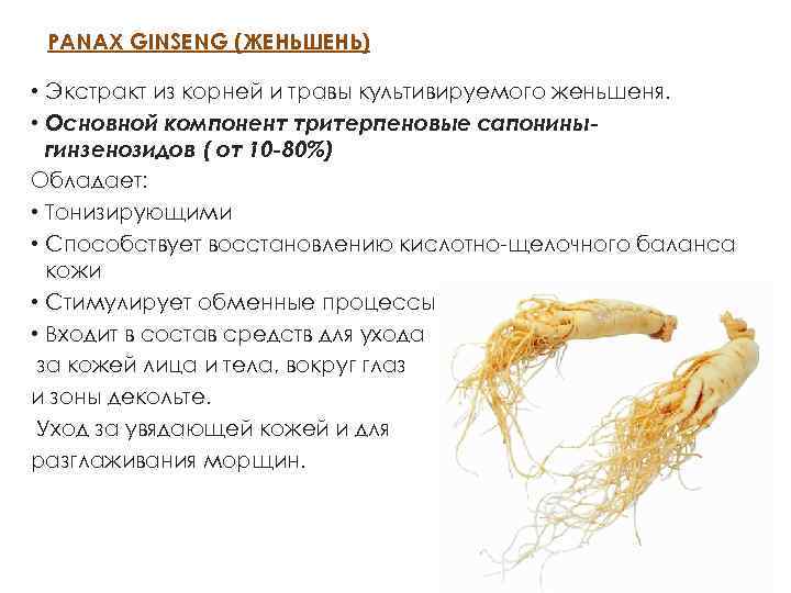 PANAX GINSENG (ЖЕНЬШЕНЬ) • Экстракт из корней и травы культивируемого женьшеня. • Основной компонент