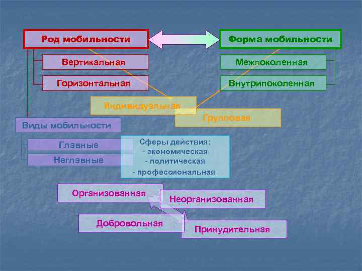 Род мобильности Форма мобильности Вертикальная Межпоколенная Горизонтальная Внутрипоколенная Индивидуальная Групповая Виды мобильности Главные Неглавные
