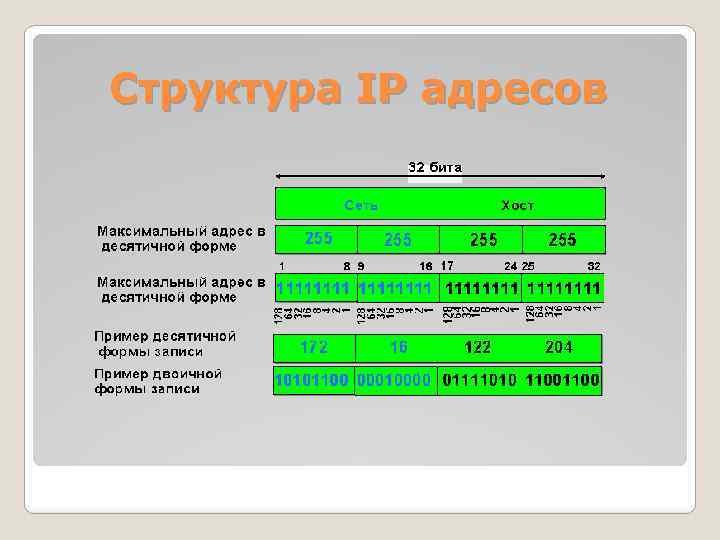 Ip адрес 9 класс. Структура IP адреса. Строение айпи адреса.