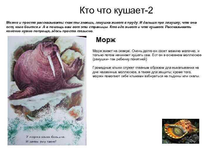 Кто что кушает-2 Можно и просто рассказывать: «как ты знаешь, лягушка живет в пруду.