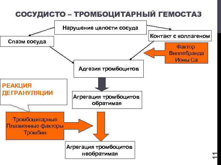 Первичный гемостаз схема