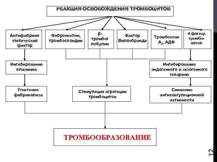 РЕАКЦИЯ ОСВОБОЖДЕНИЯ ТРОМБОЦИТОВ Фибронектин, тромбоспондин βтромбог лобулин Фактор Виллебранда Ингибирование плазмина Угнетение фибринолиза Тромбоксан