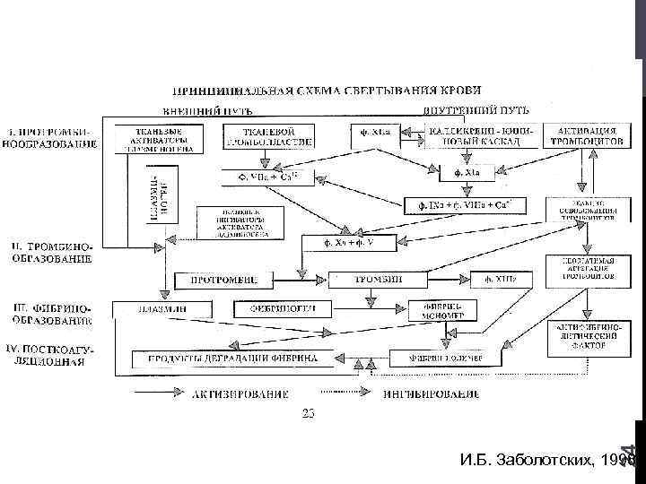 24 И. Б. Заболотских, 1998 