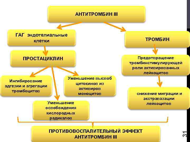 АНТИТРОМБИН III ГАГ эндотелиальные клетки Предотвращение тромбинстимулирующей роли активированных лейкоцитов Уменьшение высвоб цитокинов из