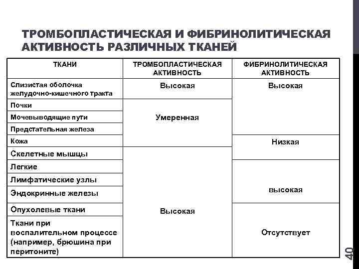 ТРОМБОПЛАСТИЧЕСКАЯ И ФИБРИНОЛИТИЧЕСКАЯ АКТИВНОСТЬ РАЗЛИЧНЫХ ТКАНЕЙ ТКАНИ Слизистая оболочка желудочно-кишечного тракта ТРОМБОПЛАСТИЧЕСКАЯ АКТИВНОСТЬ ФИБРИНОЛИТИЧЕСКАЯ