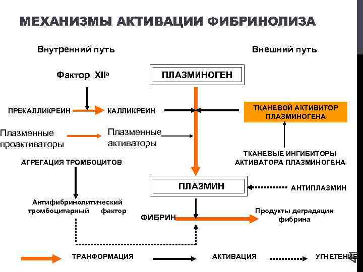 Факторы и пути. Механизмы стимуляции фибринолиза.. Внешний и внутренний механизмы активации фибринолиза. Активаторы фибринолиза и ингибиторы фибринолиза. Механизм активации системы фибринолиза.