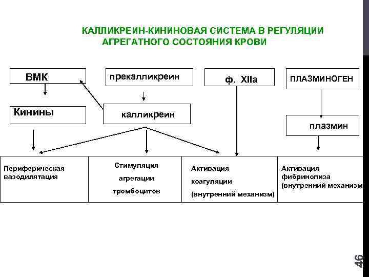 Калликреин кининовая система схема