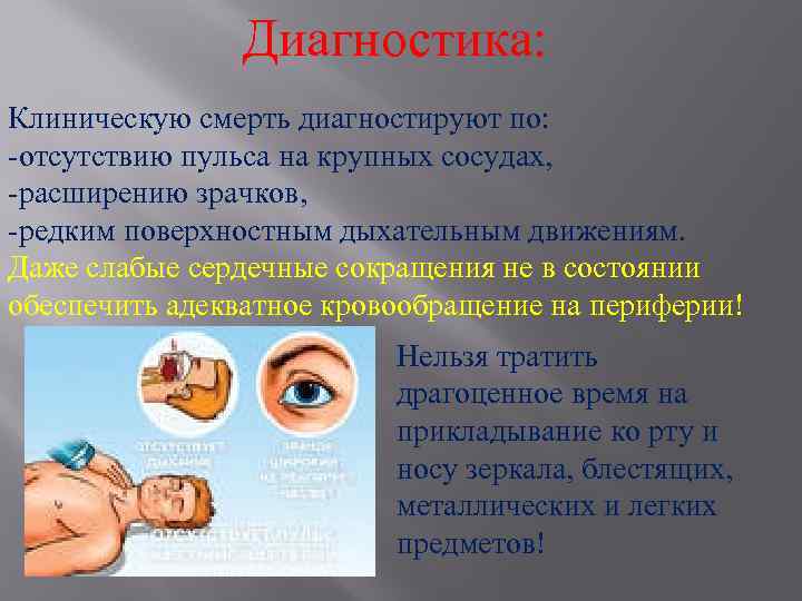 Диагностика: Клиническую смерть диагностируют по: -отсутствию пульса на крупных сосудах, -расширению зрачков, -редким поверхностным