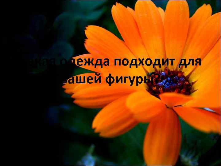 Какая одежда подходит для вашей фигуры? 