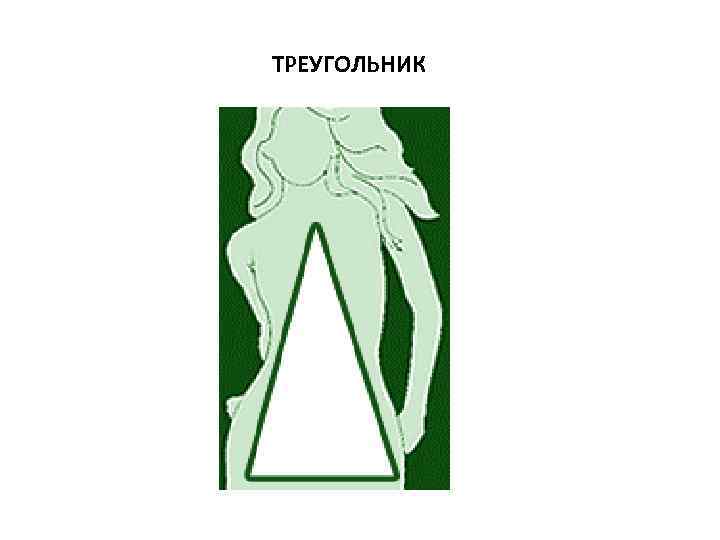 ТРЕУГОЛЬНИК 