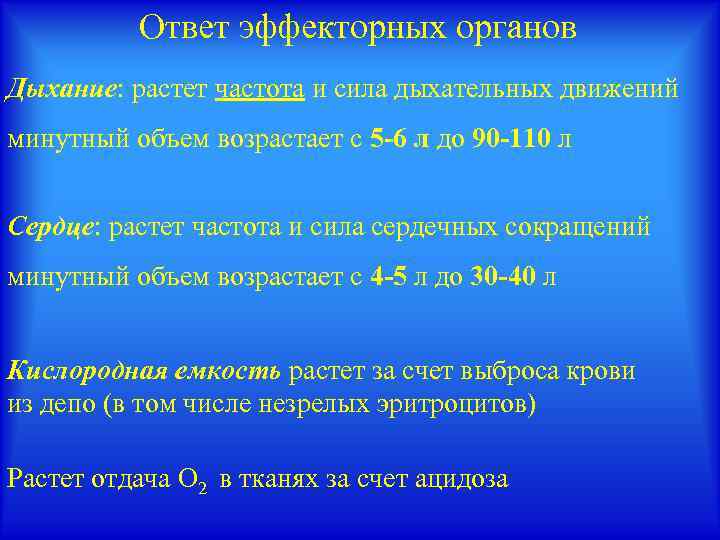 Ответ эффекторных органов Дыхание: растет частота и сила дыхательных движений минутный объем возрастает с