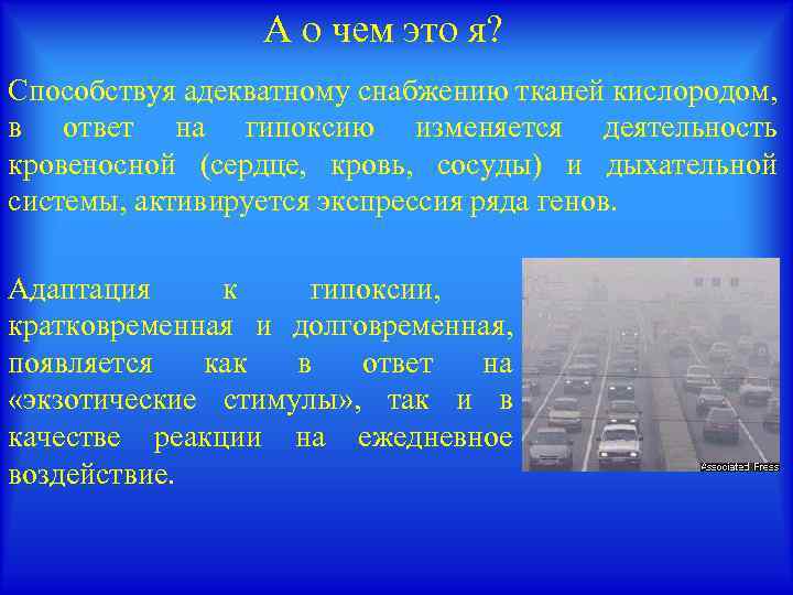 А о чем это я? Способствуя адекватному снабжению тканей кислородом, в ответ на гипоксию