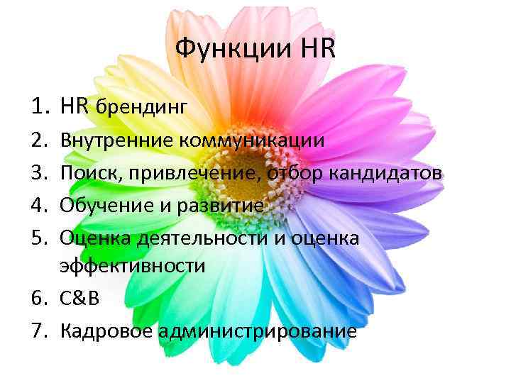 Функции HR 1. HR брендинг 2. 3. 4. 5. Внутренние коммуникации Поиск, привлечение, отбор