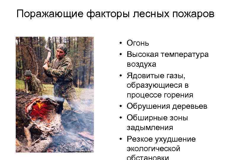 Поражающие факторы лесных пожаров • Огонь • Высокая температура воздуха • Ядовитые газы, образующиеся