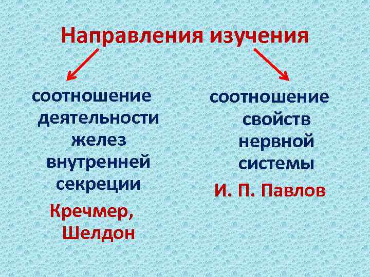 Направления изучения соотношение деятельности желез внутренней секреции Кречмер, Шелдон соотношение свойств нервной системы И.