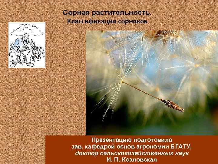 Сорная растительность. Классификация сорняков Презентацию подготовила зав. кафедрой основ агрономии БГАТУ, доктор сельскохозяйственных наук