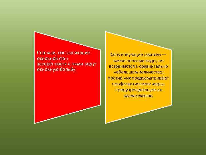 Сорняки, составляющие основной фон засорённости с ними ведут основную борьбу Сопутствующие сорняки — также