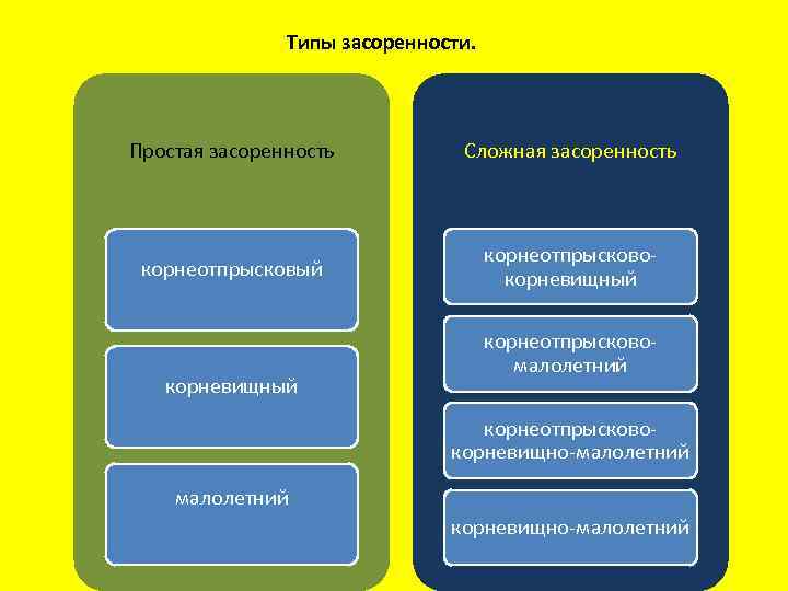 Типы засоренности. Простая засоренность Сложная засоренность корнеотпрысковый корнеотпрысковокорневищный корнеотпрысковомалолетний корнеотпрысковокорневищно-малолетний 