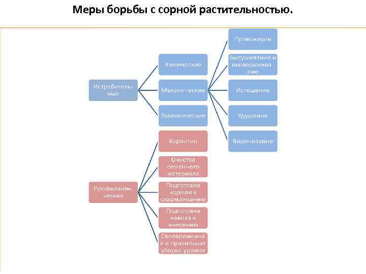 Меры борьбы с сорной растительностью. 