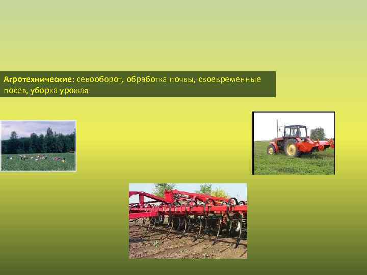 Агротехнические: севооборот, обработка почвы, своевременные посев, уборка урожая 